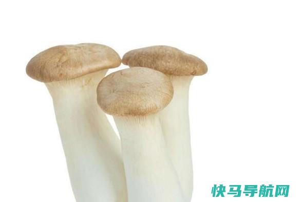 抗癌有哪些 第8张