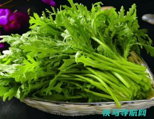 茼蒿菜长什么样？吃茼蒿有什么禁忌？